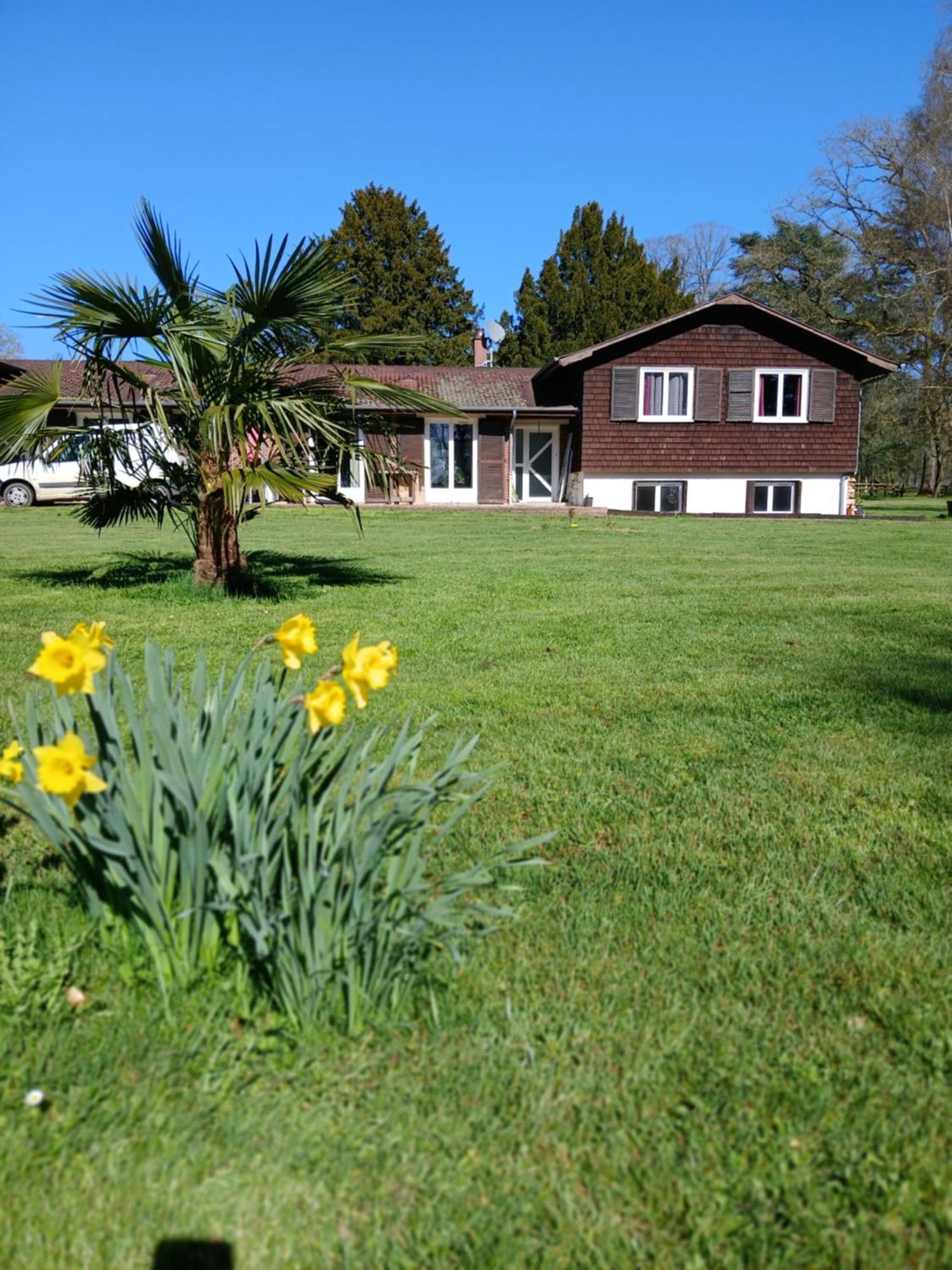 Le Pin  Domaine Des Ifs B&B 외부 사진