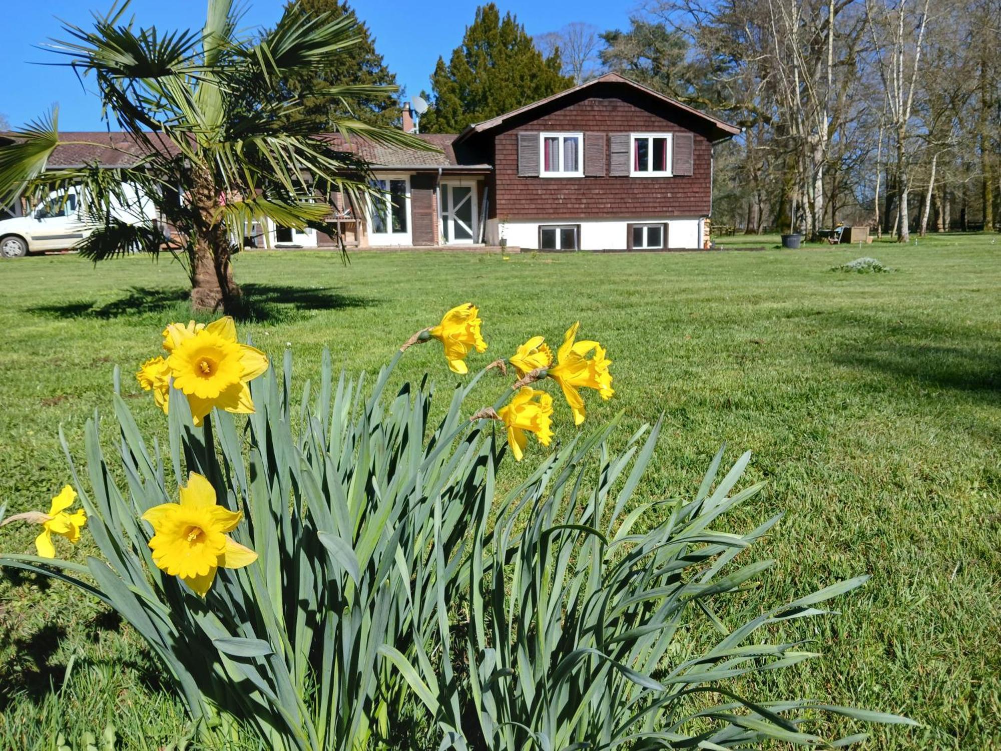 Le Pin  Domaine Des Ifs B&B 외부 사진