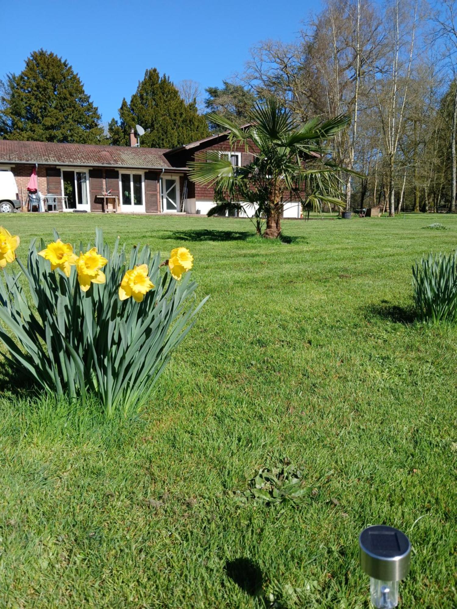 Le Pin  Domaine Des Ifs B&B 외부 사진