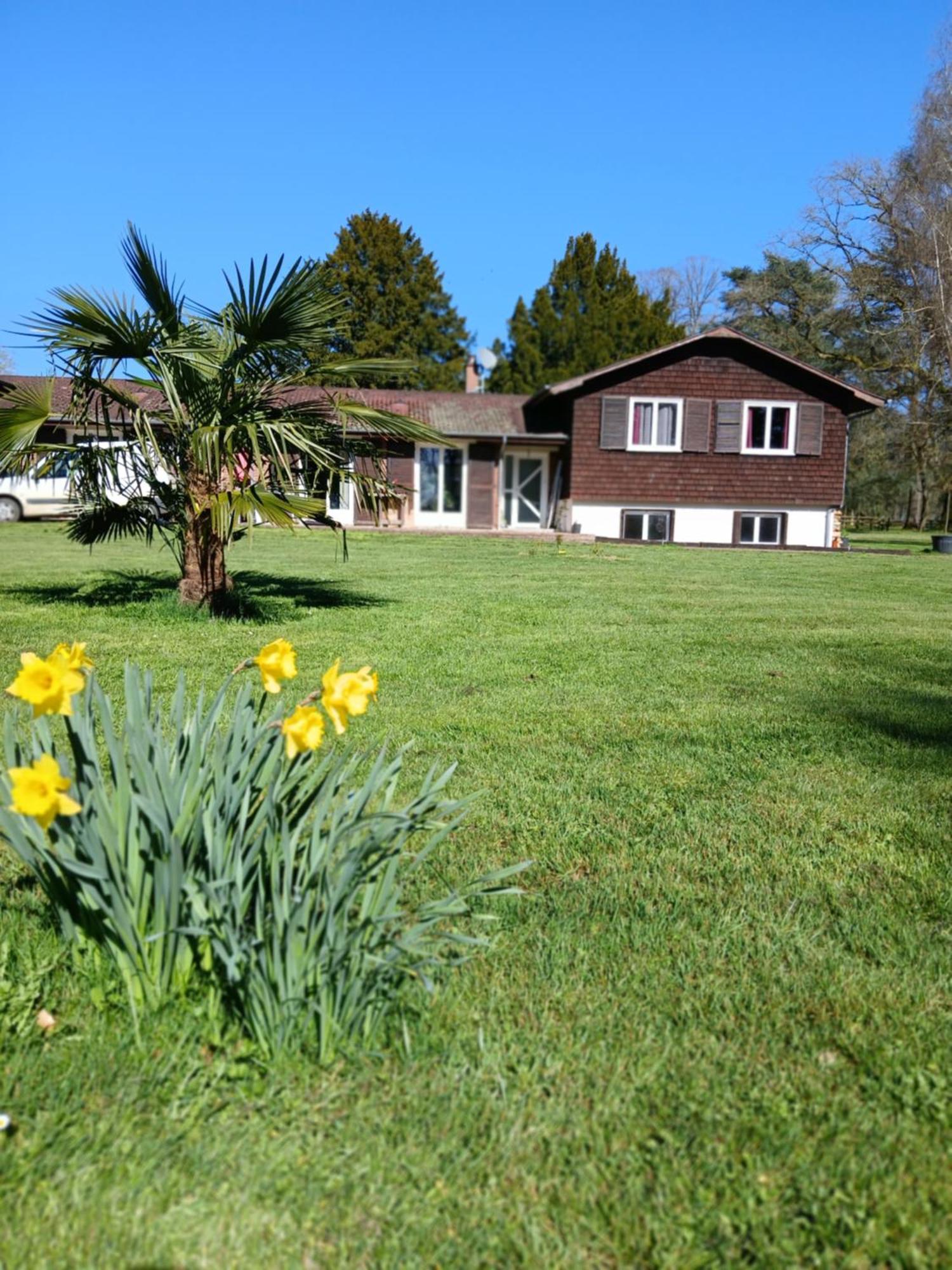 Le Pin  Domaine Des Ifs B&B 외부 사진