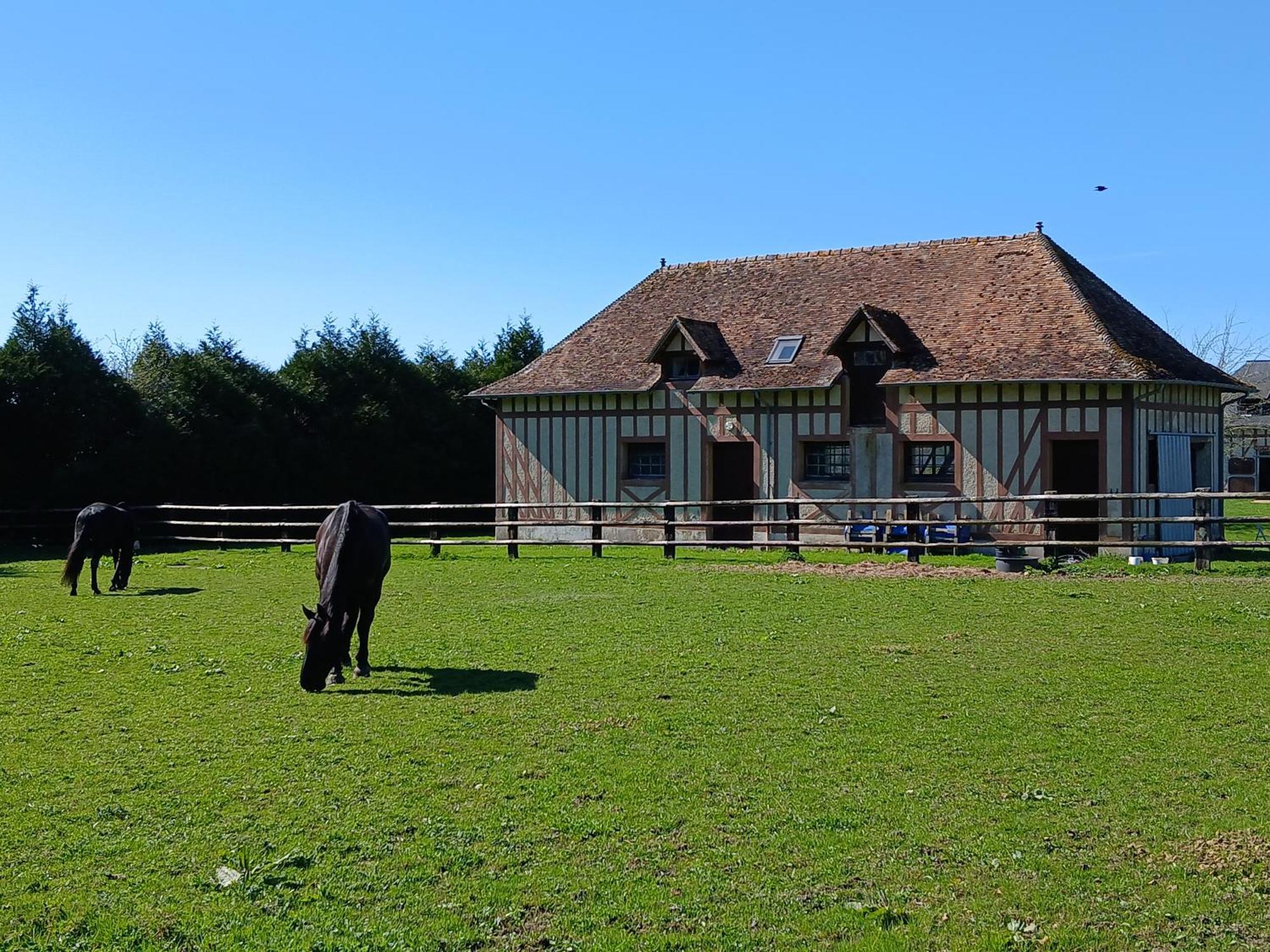 Le Pin  Domaine Des Ifs B&B 외부 사진